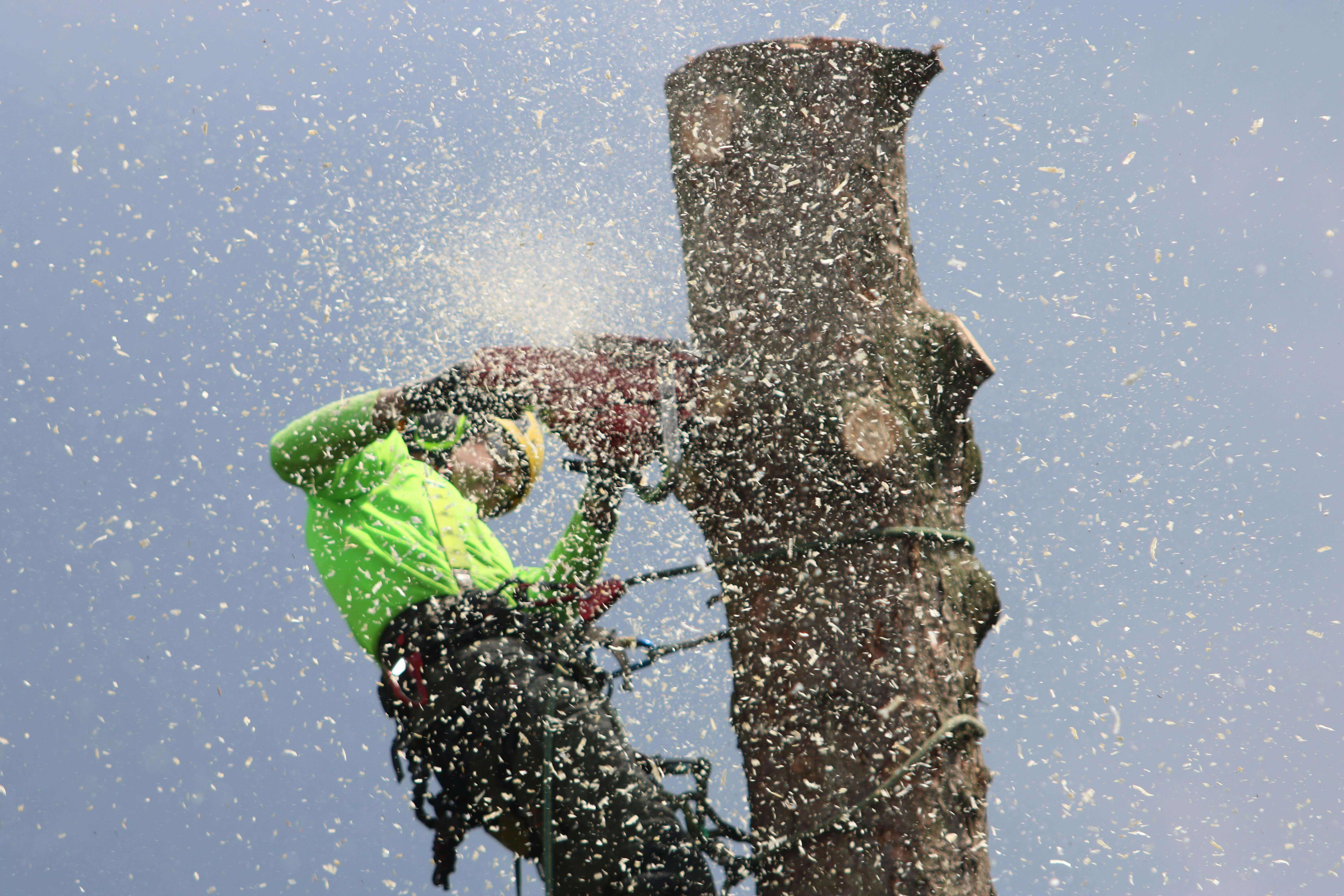 Property Maintenance